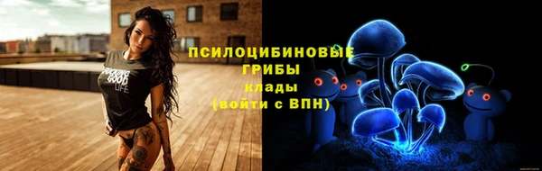 spice Аркадак