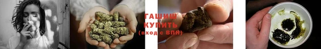 spice Аркадак